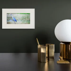 sandhill crane profile new