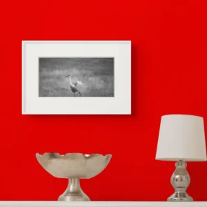 sandhill crane ruffle ii new