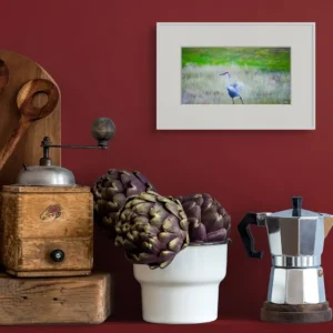 sandhill crane ruffle new