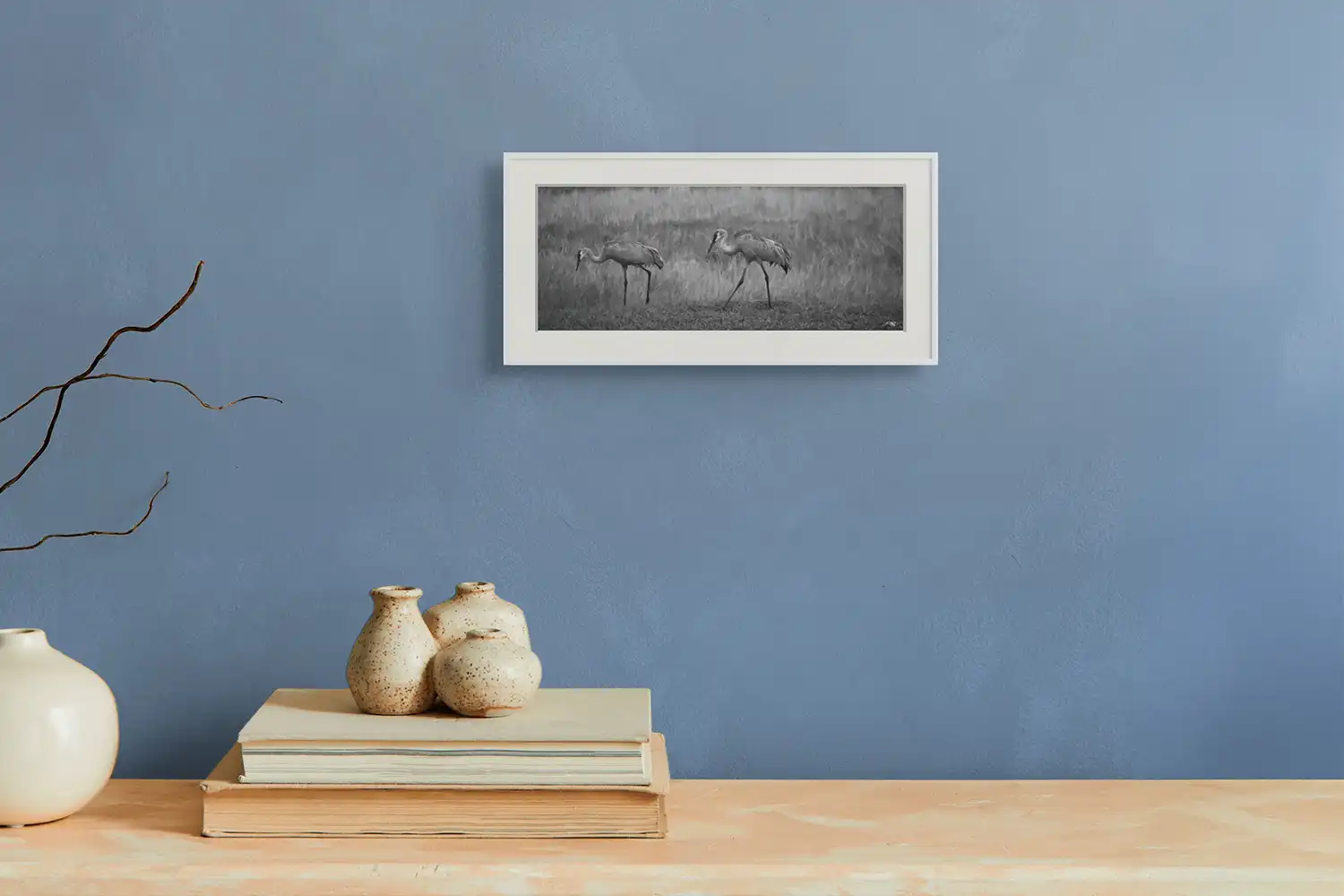 sandhill cranes graze ii new