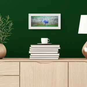 sandhill cranes parallel new