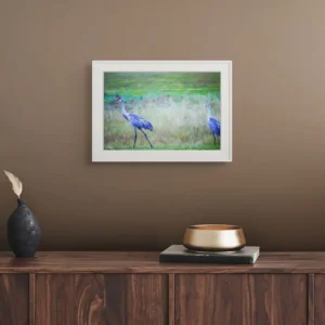 sandhill cranes walking new