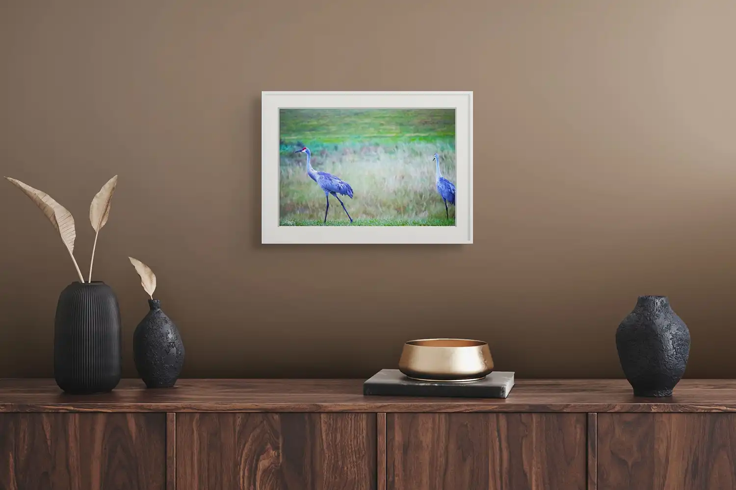 sandhill cranes walking new